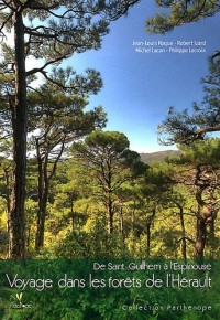 Voyage dans les forêts de l'Hérault : De Saint-Guilhem à l'Espinouse