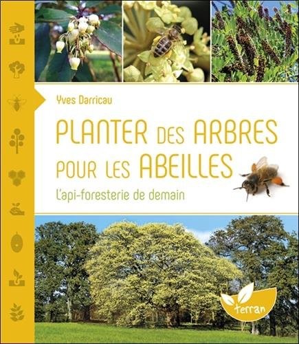 Planter des arbres pour les abeilles - L'api-foresterie de demain