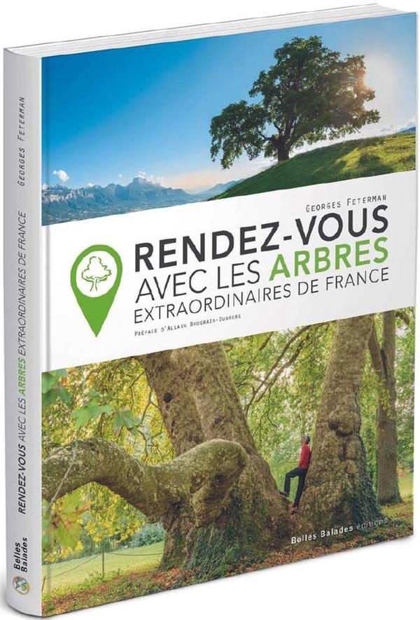 Rendez-vous avec les arbres extraordinaires de France