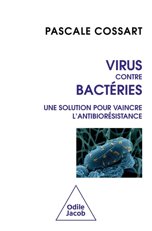 Virus contre bactéries: Une solution pour vaincre l'antibiorésistance