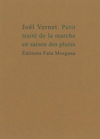 Petit traité de la marche en saison des pluies