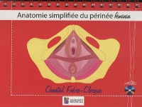 Anatomie simplifiée du périnée féminin