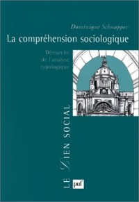 LA COMPREHENSION SOCIOLOGIQUE. Démarche de l'analyse typologique