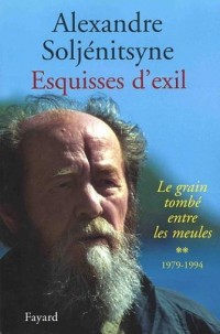 Esquisses d'exil : Tome 2, Le grain tombé entre les meules, 1979-1994