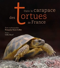 Dans la Carapace des Tortues de France