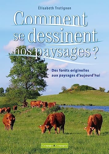 Comment se dessinent les paysages