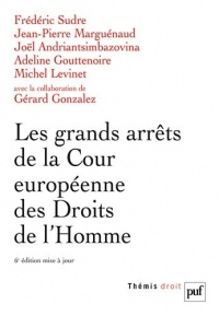 Les grands arrêts de la Cour européenne des Droits de l'Homme