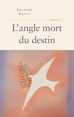 L'angle mort du destin