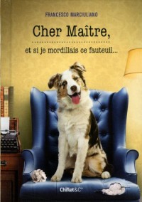 Cher Maître, et si je mordillais ce fauteuil