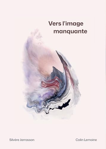 Vers l'image manquante