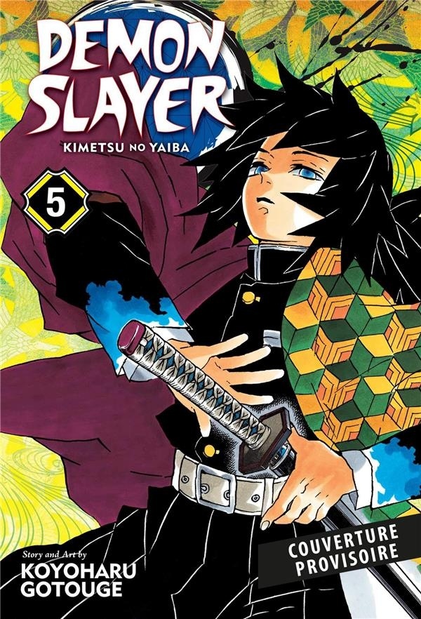 Demon Slayer T05