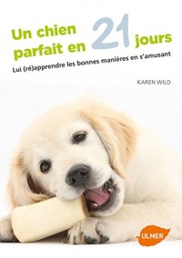 Un chien parfait en 21 jours. Lui (ré)apprendre les bonnes manières en s'amusant