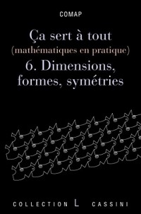 Ca sert à tout (mathématiques en pratique) : Volume 6, Dimensions, formes et symétries