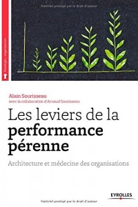 Les leviers de la performance pérenne : Architecture et médecine des organisations