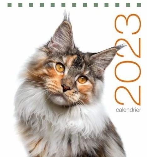 Calendrier de table 2023 Chats