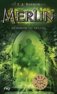 Le miroir du destin (Merlin t. 4)