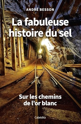 La fabuleuse histoire du sel - Sur les chemins de l'or blanc