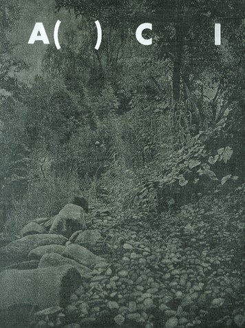 A( ) C I, N° 2 : Festival International d'Art de Toulouse