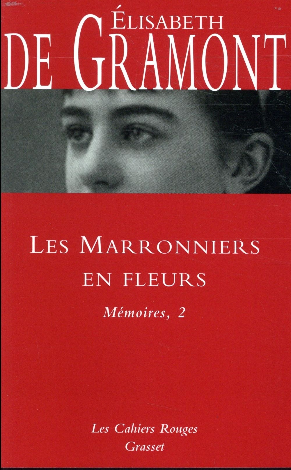Les marronniers en fleurs
