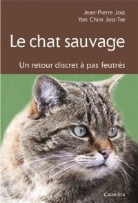 Le chat sauvage, un retour discret à pas feutrés