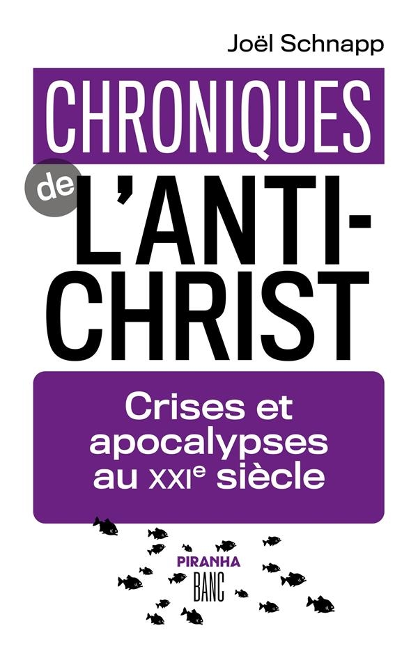 Chroniques de l'Antichrist: Crises et apocalypses au XXIe siècle
