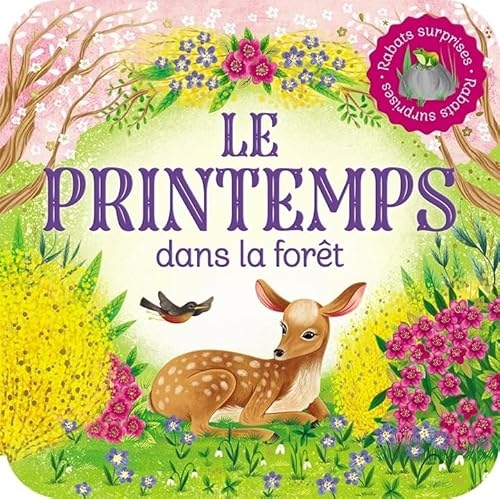 Rabats surprises Le printemps dans la forêt