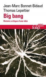 Big bang: Histoire critique d'une idée [Poche]
