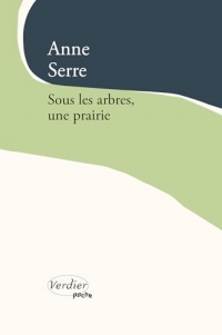 Sous les arbres, une prairie