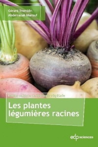 Les plantes légumières racines