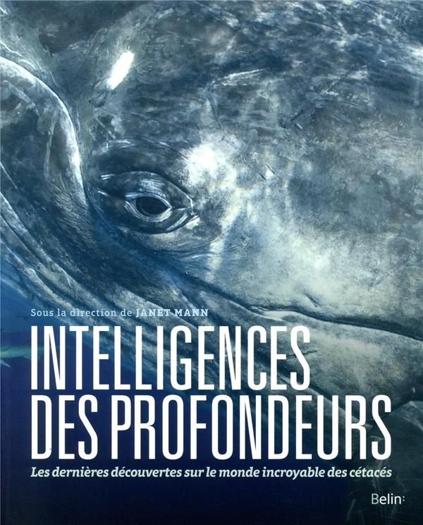 Intelligences des profondeurs : Dans la tête des baleines, dauphins et marsouins