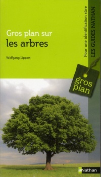 Les arbres