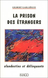 La prison des étrangers. Clandestins et délinquants