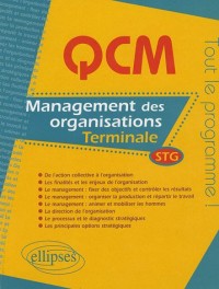 Management Des Organisations Terminale Stg
