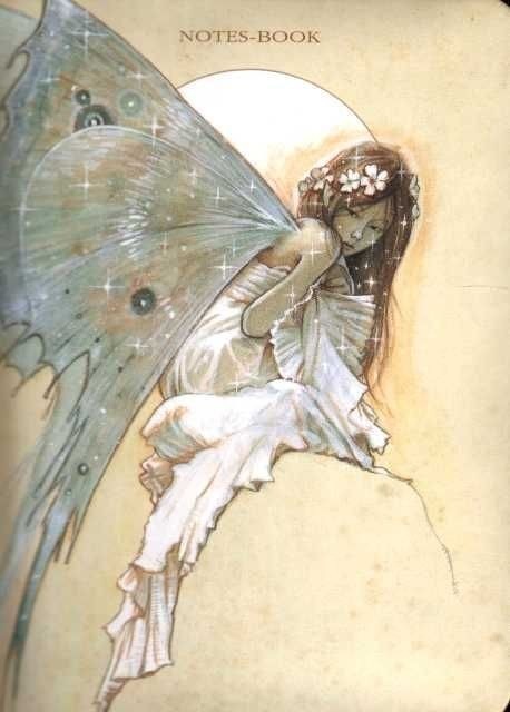 Notes-Book Fee Bleue