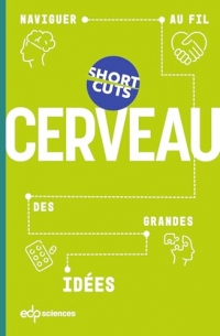 Cerveau