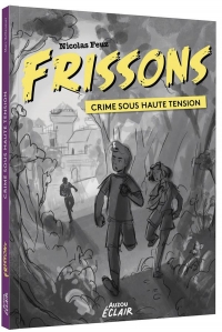 FRISSONS - ENQUÊTE CRIMINELLE SOUS HAUTE TENSION