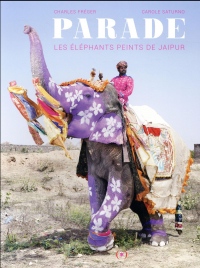 Parade: Les éléphants peints de Jaipur