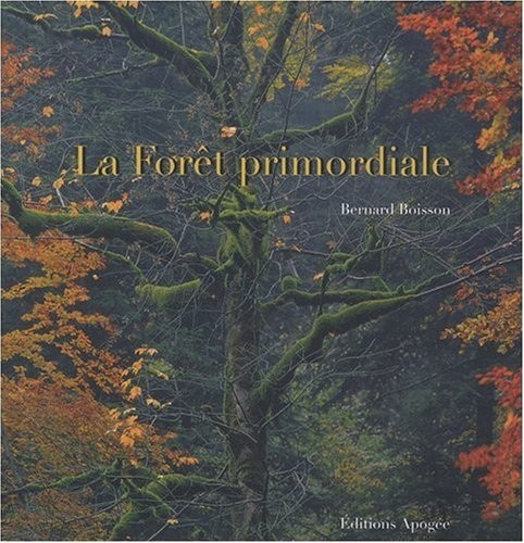 La forêt primordiale