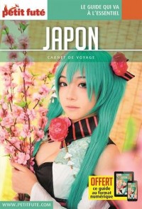 Guide Japon 2018 Carnet Petit Futé