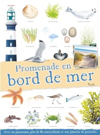 Promenade en bord de mer