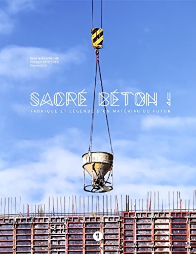 Sacré béton ! : Fabrique et légende d'un matériau du futur