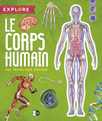 Le corps humain : Une fantastique machine