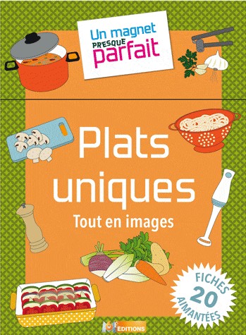 Un magnet presque parfait plats uniques
