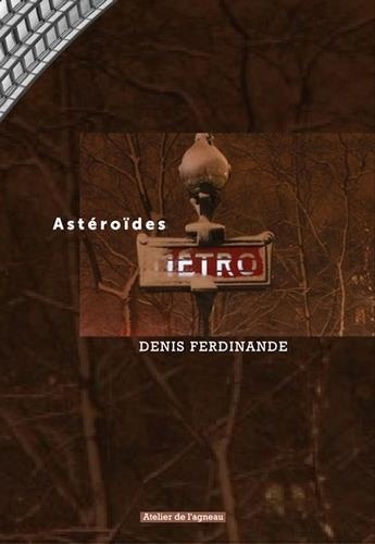 Astéroïdes : Un carnet de notes