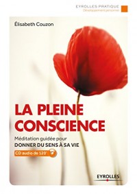La pleine conscience: Méditation guidée pour donner du sens à sa vie. Cd audio 120'