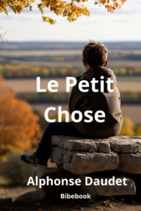 Le petit chose