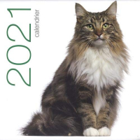 Calendrier mural 2021 - Chats