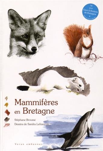 Mammifères en Bretagne