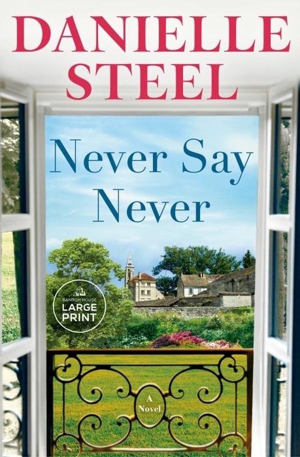 Never Say Never: A Novel [9798217014026]
