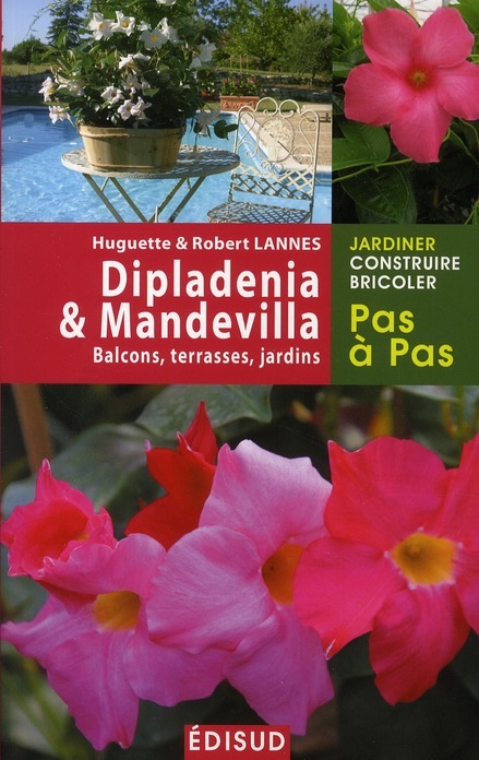 Dipladenia & Mandevilla